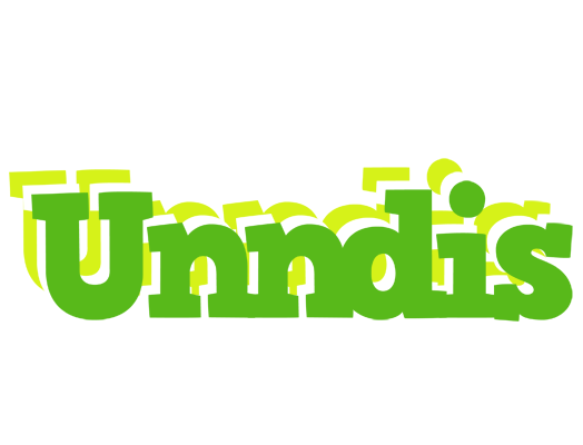 Unndis picnic logo
