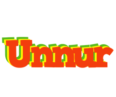 Unnur bbq logo