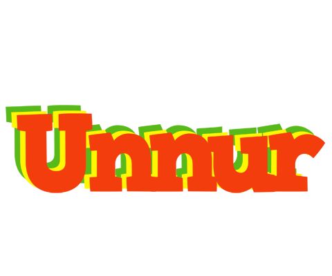 Unnur bbq logo