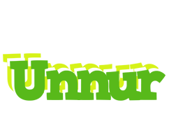 Unnur picnic logo