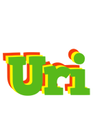 Uri crocodile logo