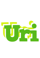 Uri picnic logo