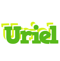 Uriel picnic logo