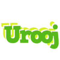 Urooj picnic logo