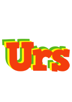 Urs bbq logo