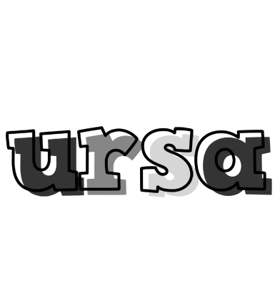 Ursa night logo