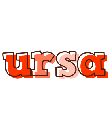 Ursa paint logo