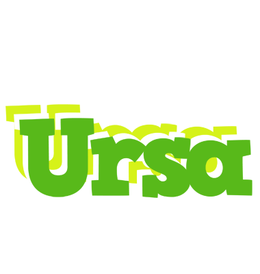 Ursa picnic logo