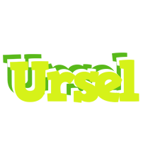 Ursel citrus logo