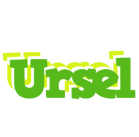 Ursel picnic logo