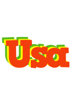 Usa bbq logo