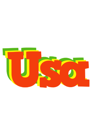 Usa bbq logo