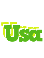 Usa picnic logo