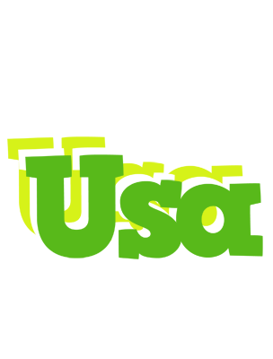 Usa picnic logo