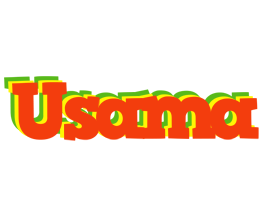 Usama bbq logo