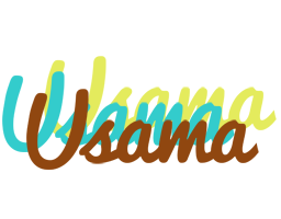Usama cupcake logo