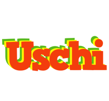 Uschi bbq logo