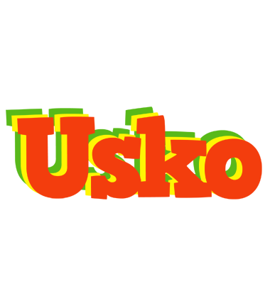 Usko bbq logo