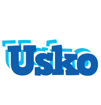 Usko business logo