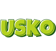 Usko summer logo