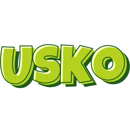 Usko summer logo