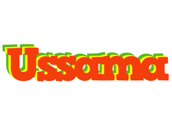 Ussama bbq logo