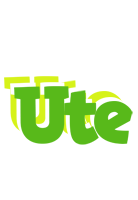 Ute picnic logo