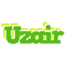Uzair picnic logo