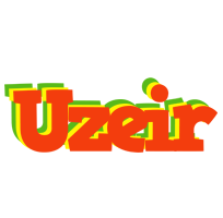 Uzeir bbq logo