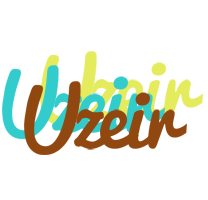 Uzeir cupcake logo