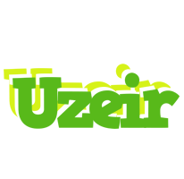 Uzeir picnic logo