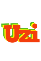 Uzi bbq logo