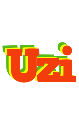 Uzi bbq logo