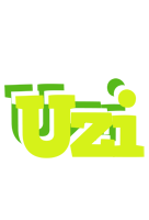 Uzi citrus logo