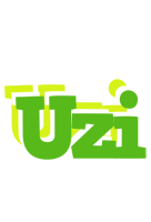 Uzi picnic logo