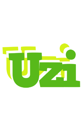 Uzi picnic logo