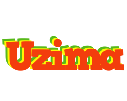 Uzima bbq logo