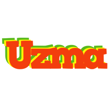 Uzma bbq logo