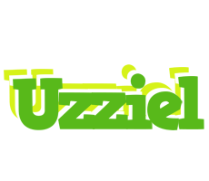 Uzziel picnic logo