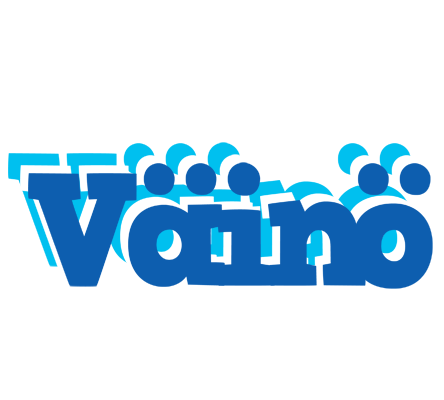 Väinö business logo
