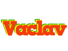 Vaclav bbq logo