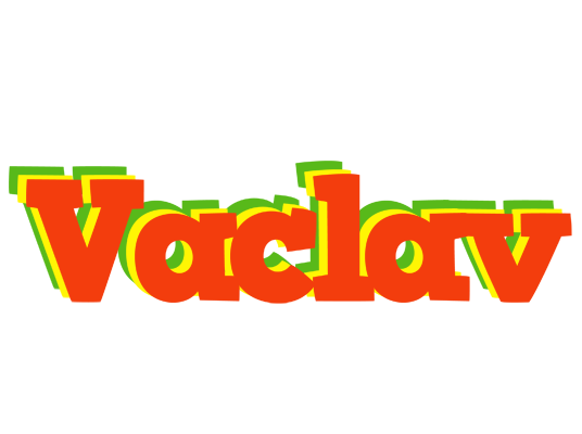 Vaclav bbq logo