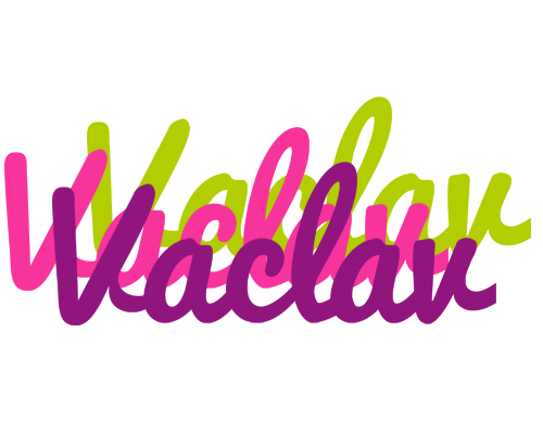 Vaclav flowers logo