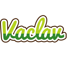 Vaclav golfing logo