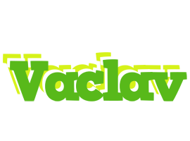 Vaclav picnic logo