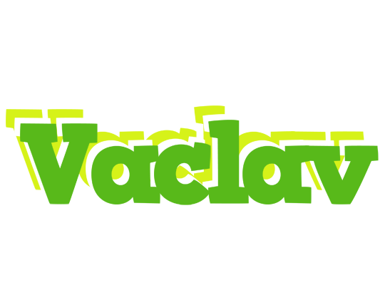 Vaclav picnic logo