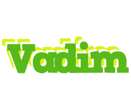 Vadim picnic logo