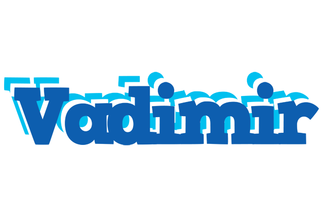 Vadimir business logo