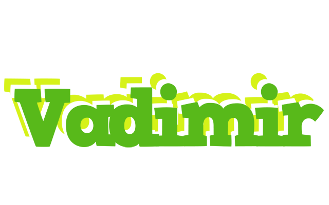 Vadimir picnic logo