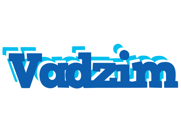 Vadzim business logo
